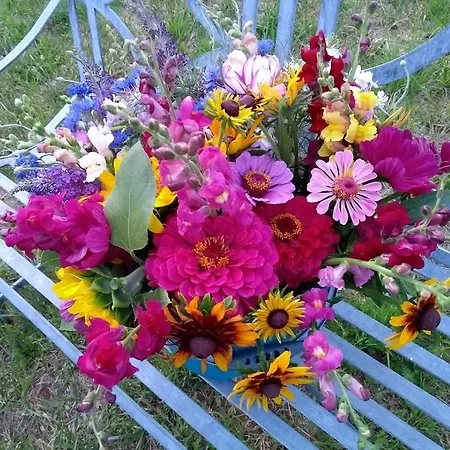 Les Fleurs D'ans Sainte-Eulalie-d'Ans