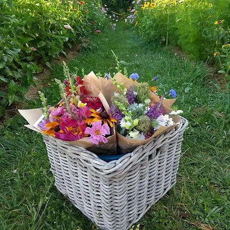 Les Fleurs D'ans 3* Sainte-Eulalie-d'Ans