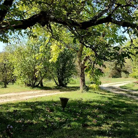 Les Fleurs D'ans Bed & Breakfast 3*