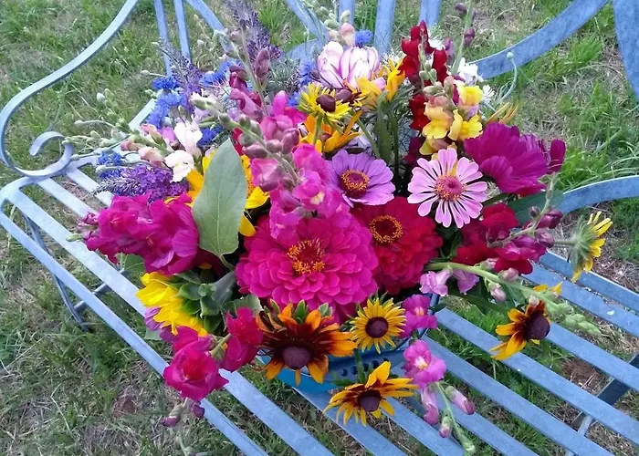 Les Fleurs D'ans Sainte-Eulalie-d'Ans