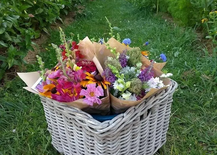 Les Fleurs D'ans 3* Sainte-Eulalie-d'Ans